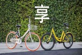 摩拜ofo投资人频亮相谈合并 两公司创始团队被无视？
